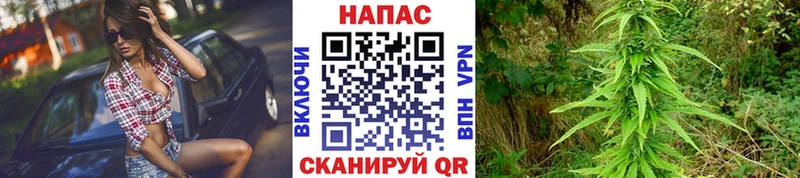 Как найти наркотики Судогда блэк спрут   ГАШ  Канабис  A PVP  Вейп ТГК 