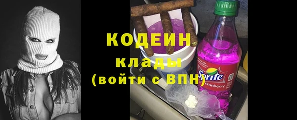 дживик Богородск