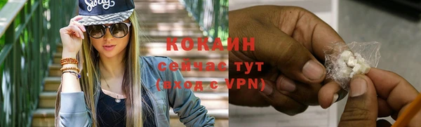 прущие грибы Богородицк