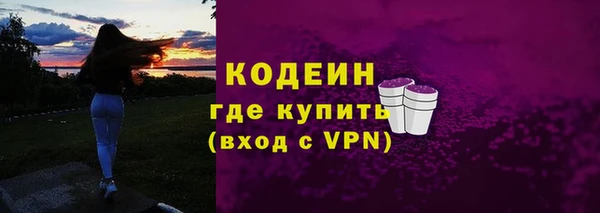дживик Богородск