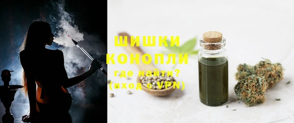 дживик Богородск