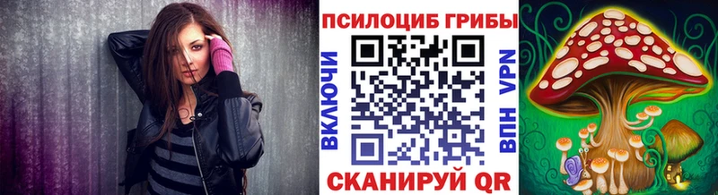 Галлюциногенные грибы Cubensis  Судогда 